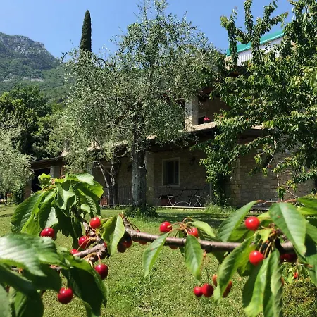 La Cascata Negli Ulivi Bed & Breakfast 3*