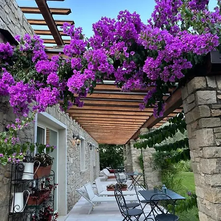Bed & Breakfast La Cascata Negli Ulivi Toscolano Maderno