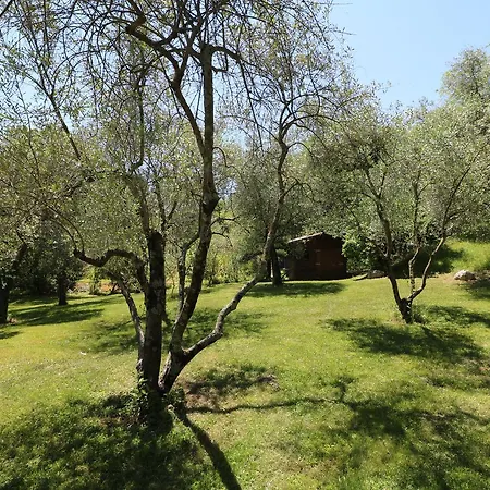 La Cascata Negli Ulivi Bed & Breakfast