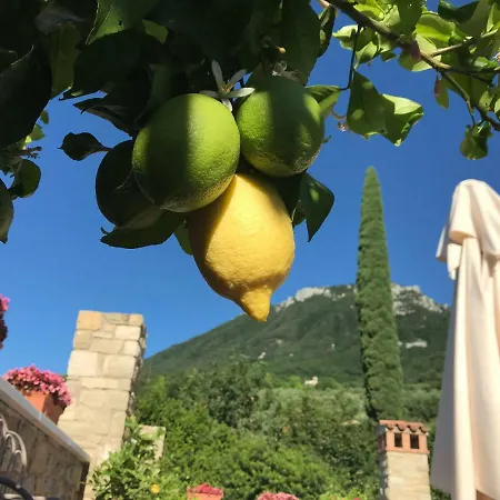 Bed & Breakfast La Cascata Negli Ulivi 3*