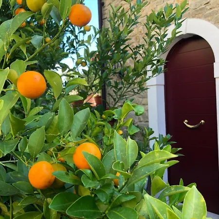 La Cascata Negli Ulivi Bed & Breakfast