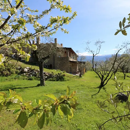 B&B La Cascata Negli Ulivi